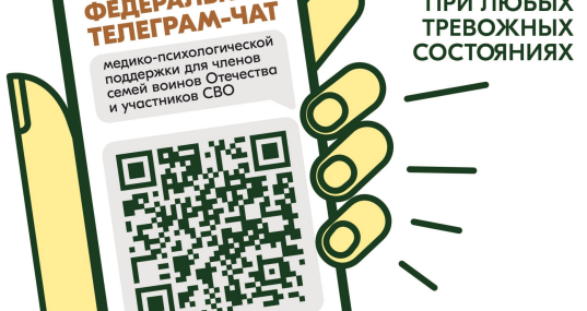 Участники СВО и члены их семей могут бесплатно и круглосуточно получить медико-психологическую помощь в специальном федеральном чате